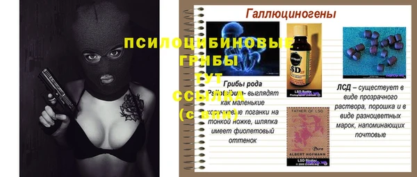 амф Бугульма