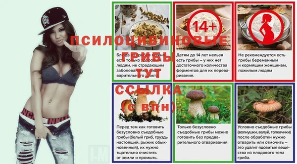 амф Бугульма