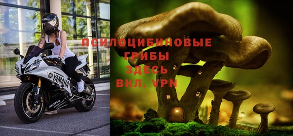 амф Бугульма